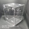 TARANTULA ENCLOSURE 